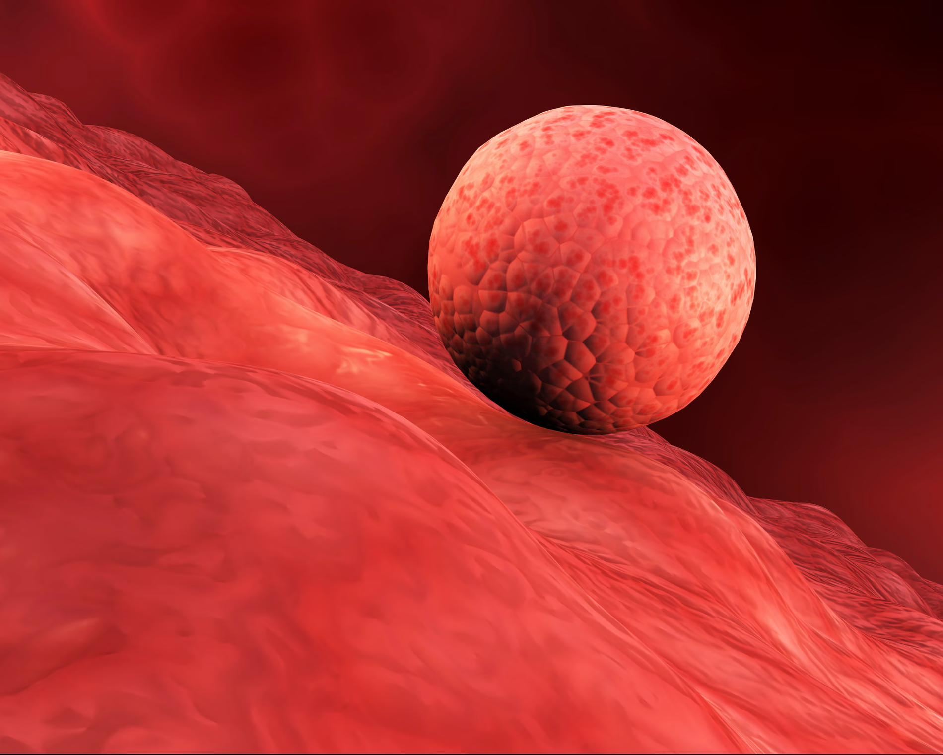 ЭКО, экстракорпоральное оплодотворение, прогресс в медицине