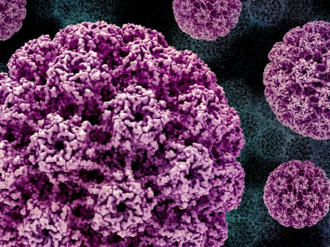 Ученые провели успешные клинические испытания вакцины от ВПЧ