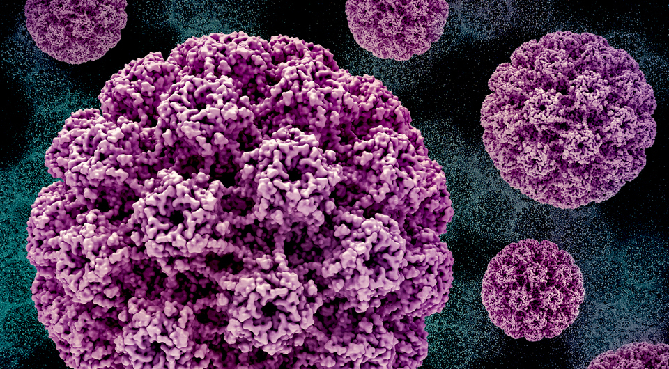 ВПЧ, вакцина от ВПЧ