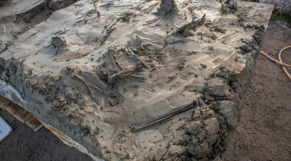 ритуальные захоронения неолита