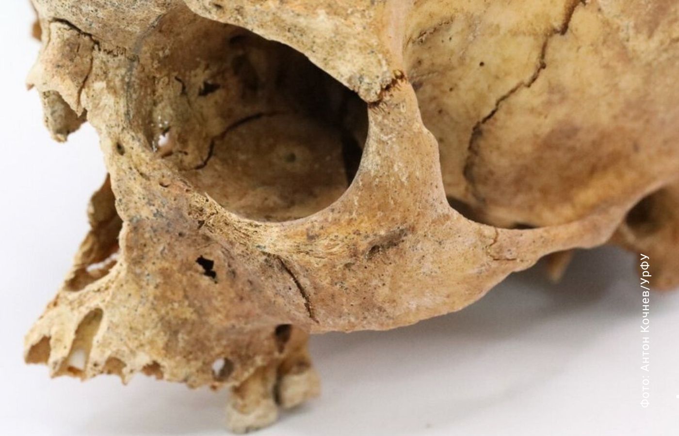 российские ученые археологи, средневековая Русь