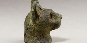 Откуда взялись котики: историю приручения и расселения кошек радикально пересмотрели