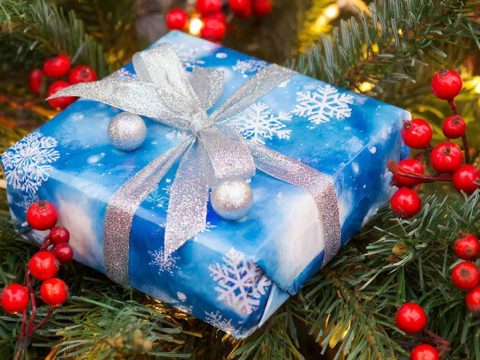 Идея дня: вспомнить о самых интересных новостях 2025 года — научных и не только