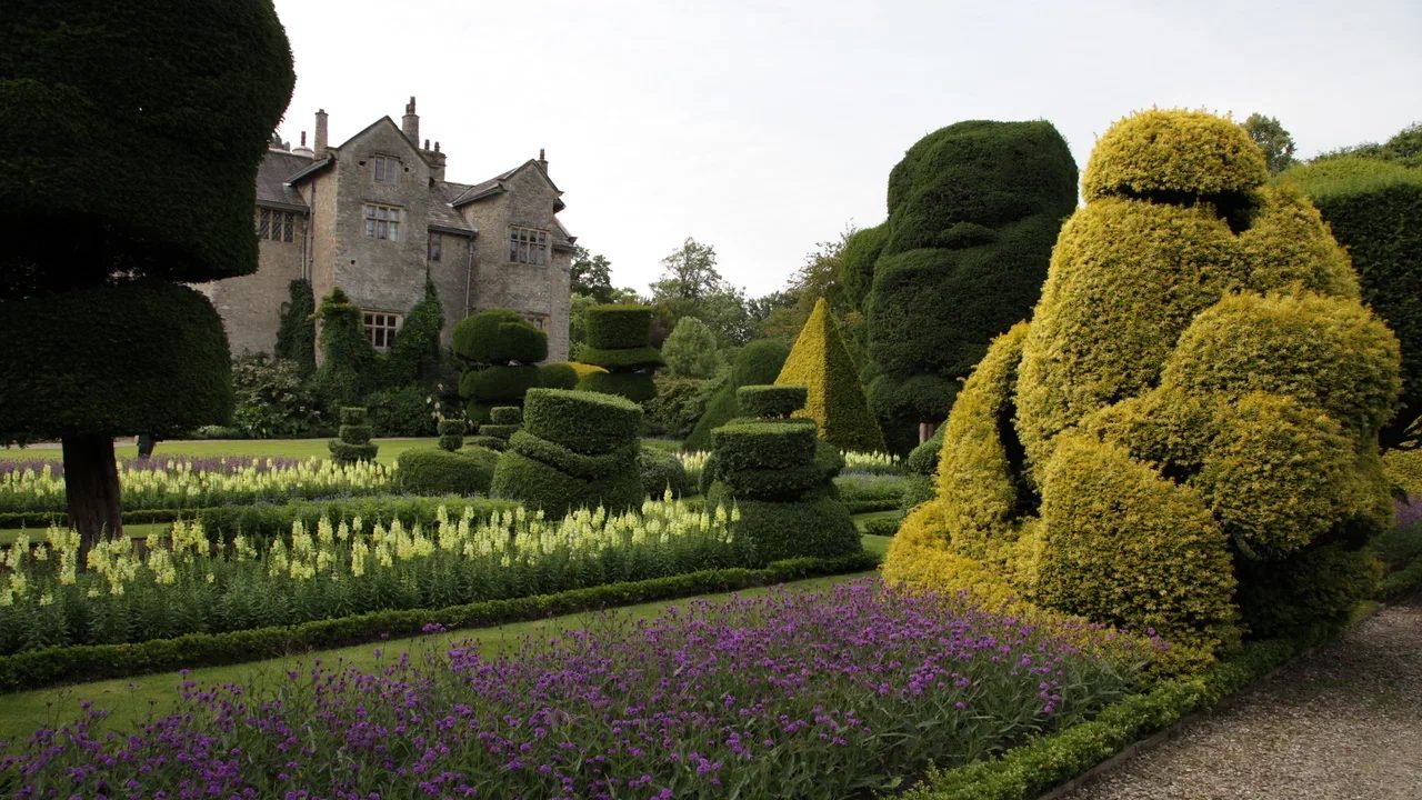 сад, левенс холл