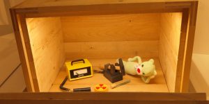 Открой коробку: когда день рождения у кота Шредингера