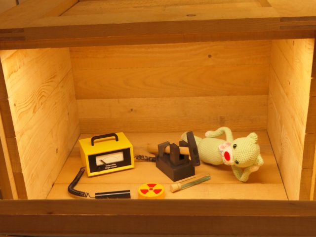 Открой коробку: когда день рождения у кота Шредингера