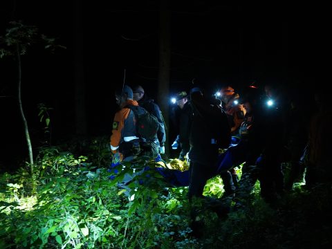 Кто ищет, тот находит: как в России выросло новое поколение волонтеров-спасателей, не проходящих мимо