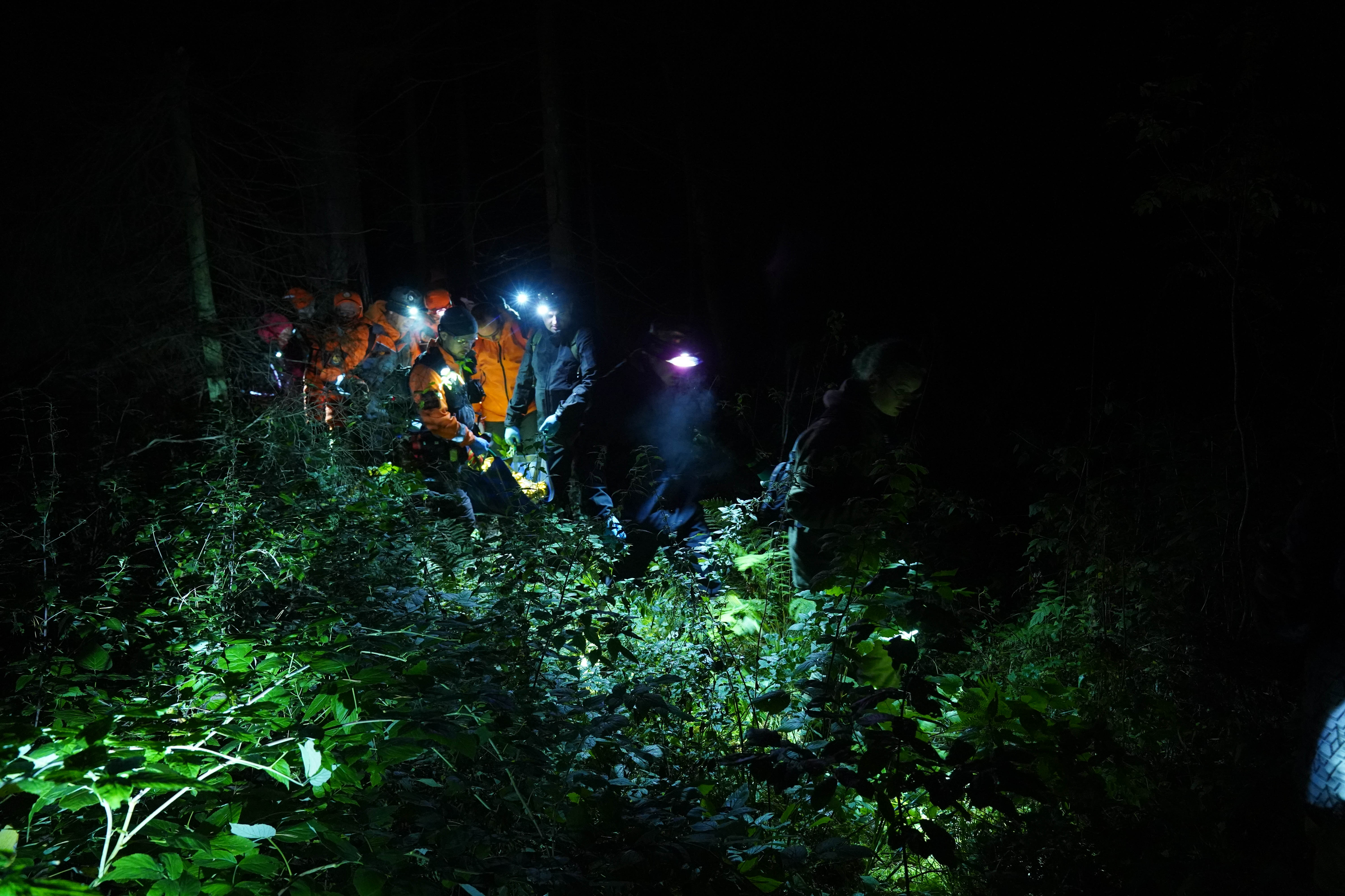 поисково-спасательные работы в России, ЛизаАлерт, добровольцы и волонтеры