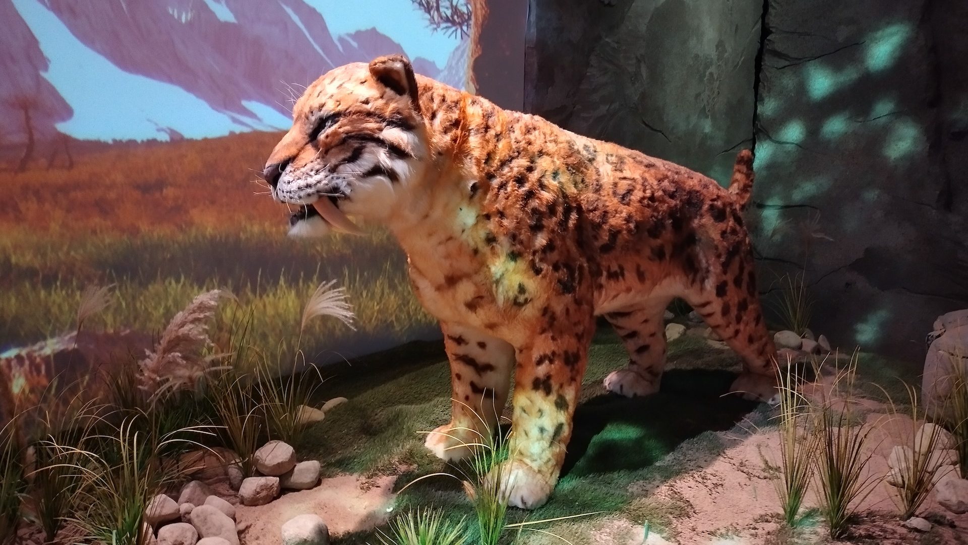 саблезубый тигр