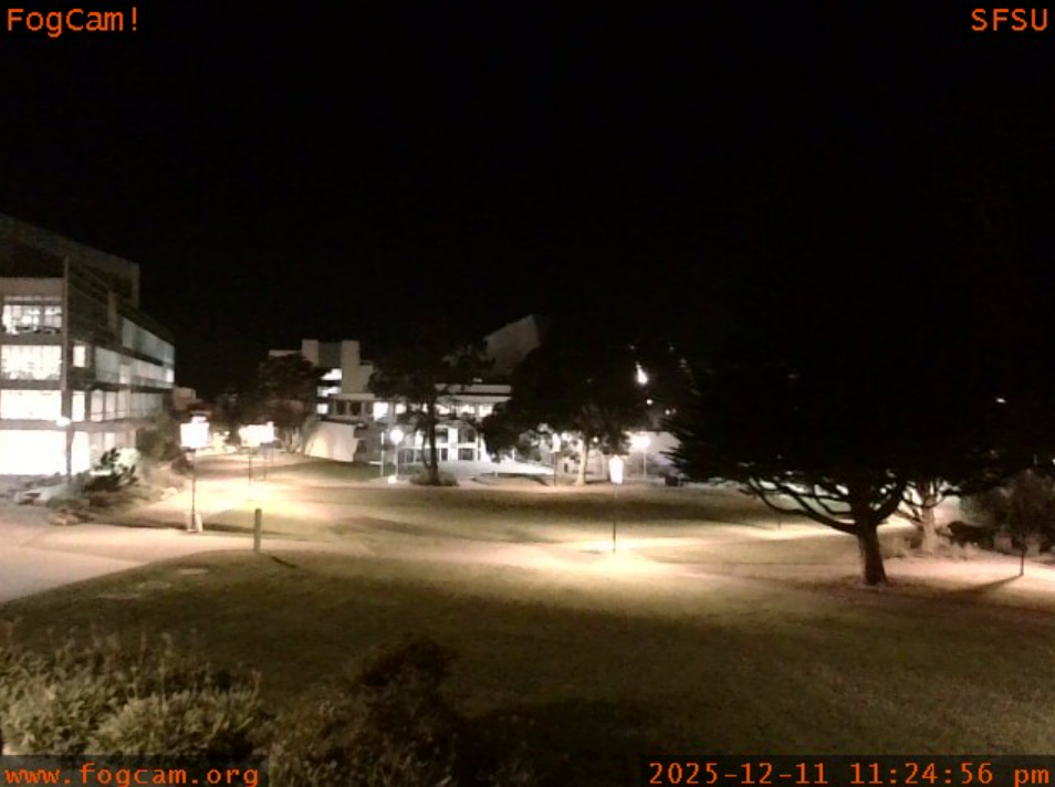 The World’s Oldest Webcam, необычные сайты