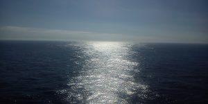 От бактерий до корпораций: о чем говорит наш горизонт будущего