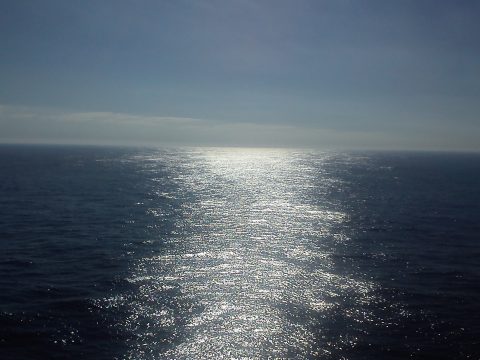 От бактерий до корпораций: о чем говорит наш горизонт будущего