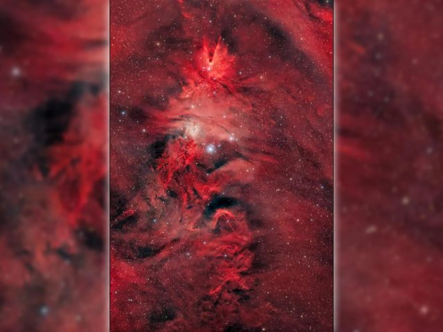 Астрономы продемонстрировали «праздничную елку», находящуюся в 2,7 тыс. световых лет от Земли