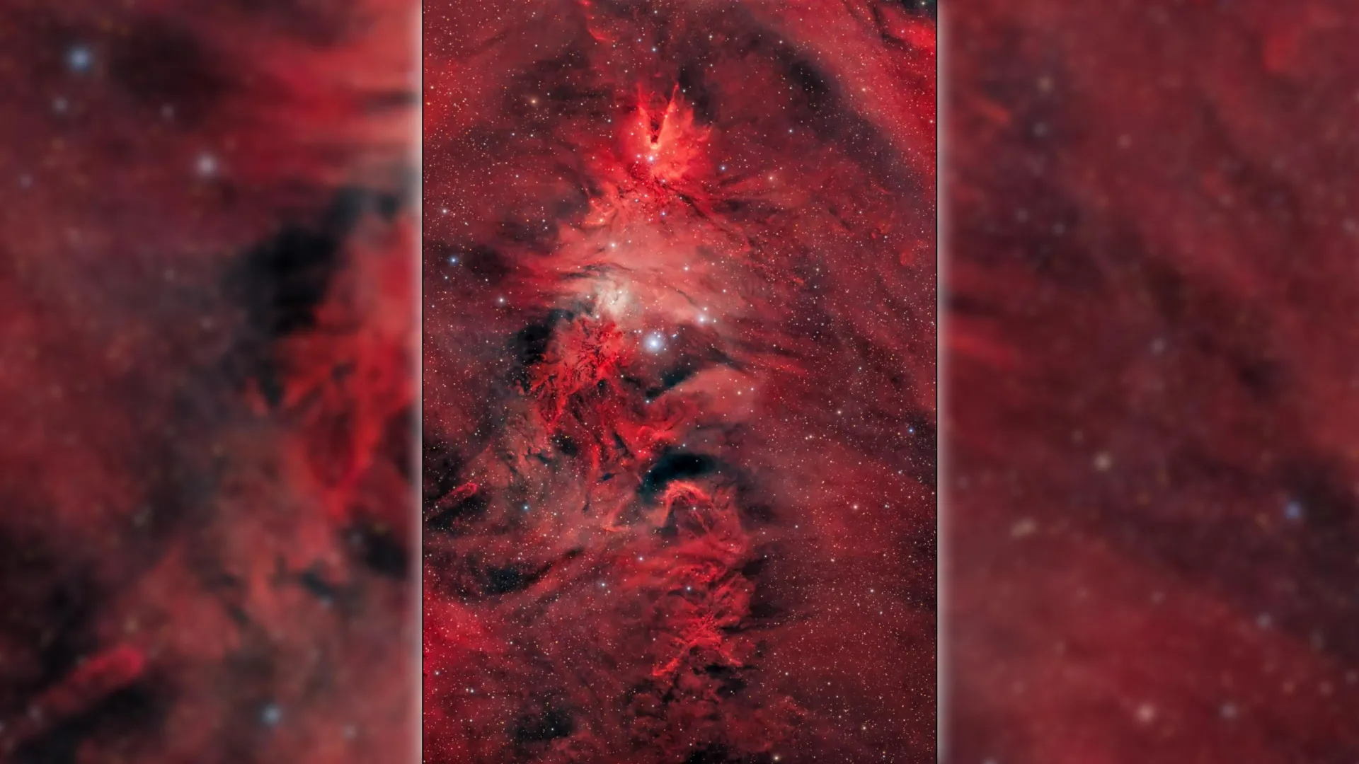 новогодняя елка в космосе, космические фото