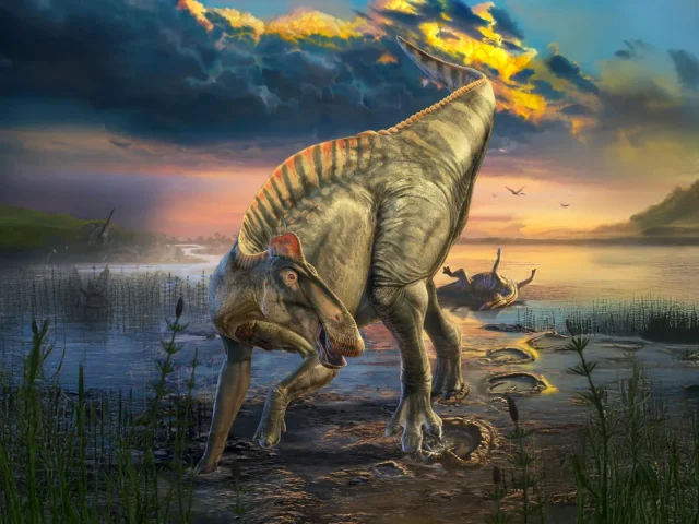 Ученые обнаружили «мумию» динозавра с копытами, гребнем и шипами