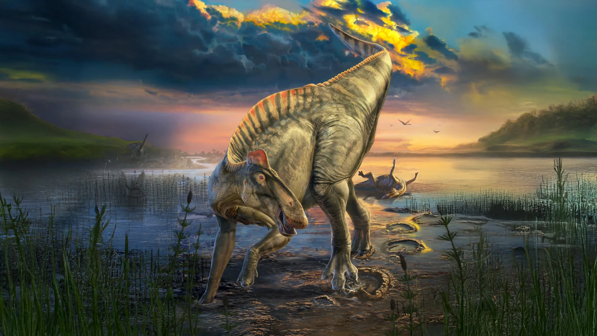 динозавры с копытами, мумии динозавров