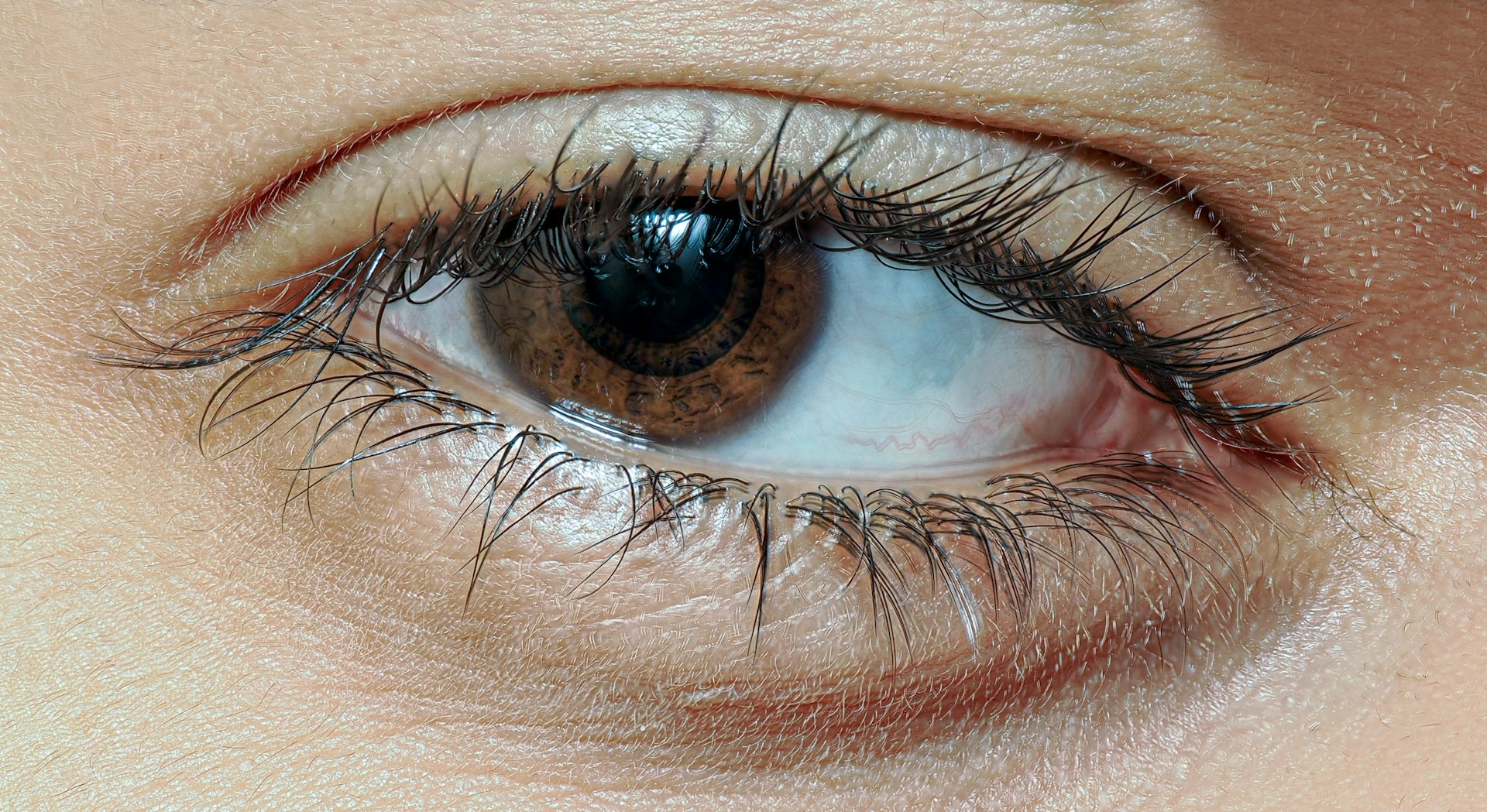 ветеринария и технологии, лечить собаку, диагностика заболеваний у собак, ПНИПУ