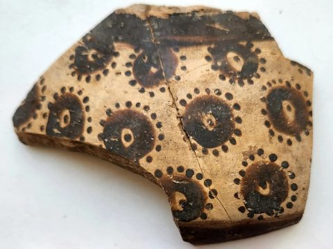 Ученые выяснили, что более 8 тыс. лет назад люди уже понимали основы математики