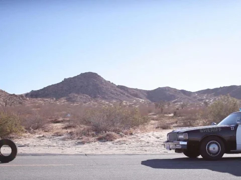 Сайт дня: портал с описанием 366 странных фильмов