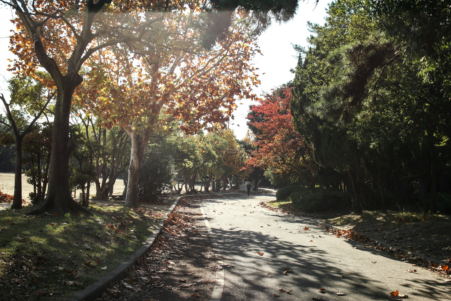 парки и отдых на природе