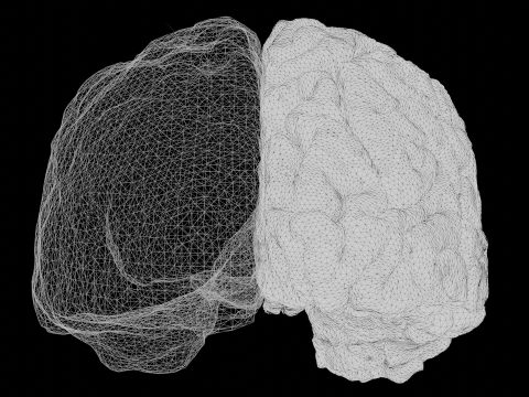 Исследование: почему наше сознание — это не программный код