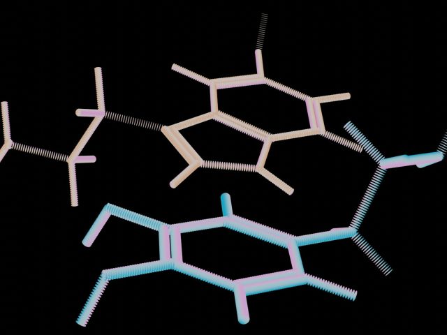Исследование: почему первый половой акт у плодовых мушек несравним с последующими