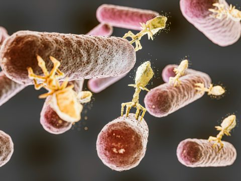 Исследование: в космосе вирусы ведут себя не так, как на Земле