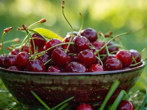 Сладость и горечь вишневого сада: гастрономические пристрастия Антона Чехова