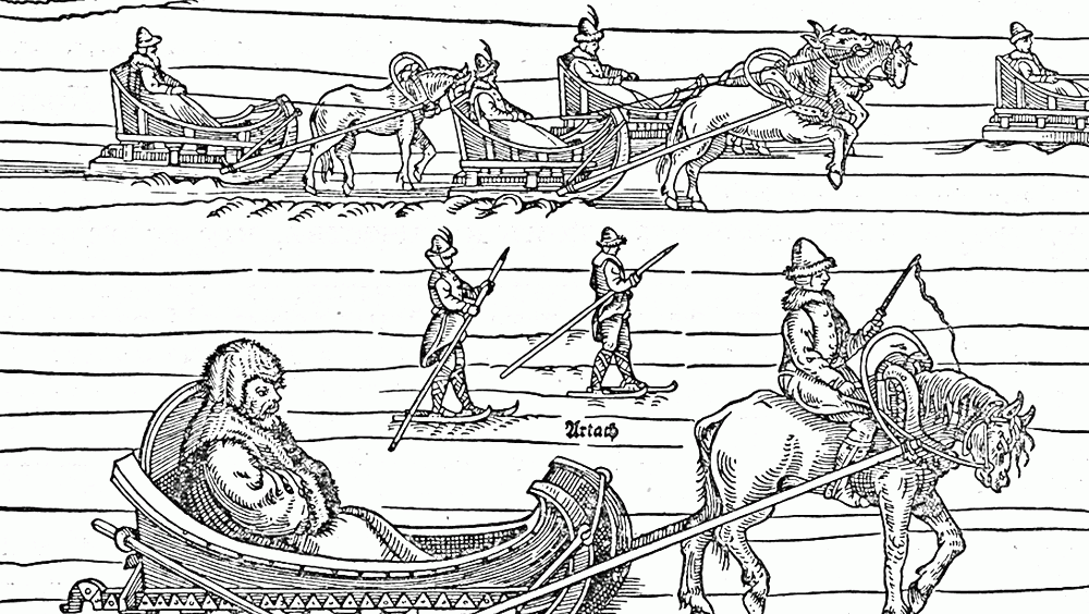 езда на санях