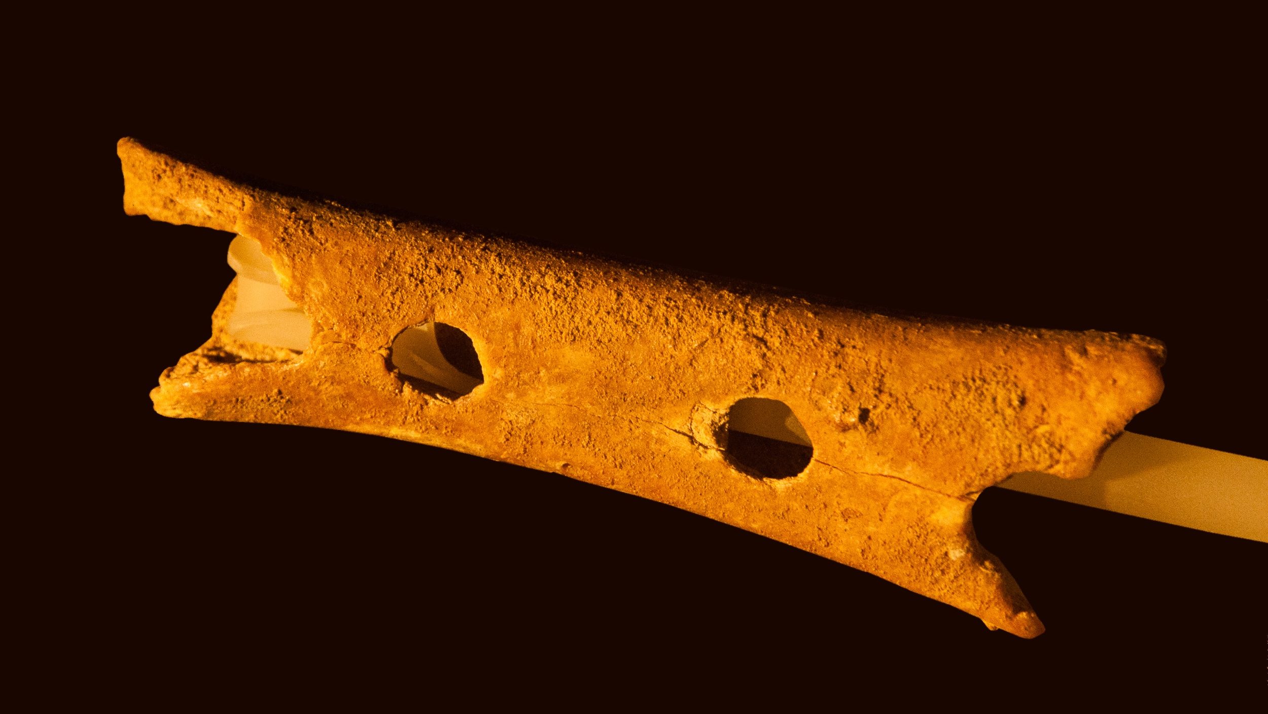 неандертальская флейта