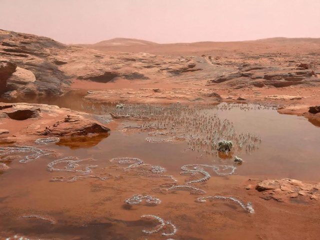 Ученый предположил, что все живое «переехало» на Землю с Марса