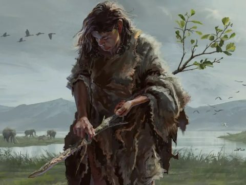 Исследование: древнейшие из известных науке деревянных орудий труда