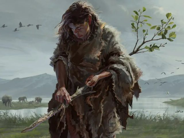 Исследование: древнейшие из известных науке деревянных орудий труда