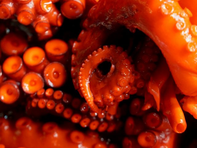 Ученые создали искусственную кожу, меняющую цвет и текстуру по запросу человека