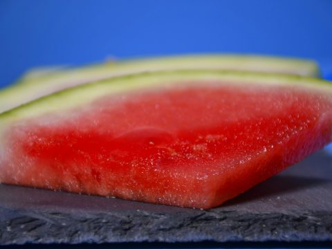 Российские ученые вырастили арбузы на станции «Восток» в Антарктиде