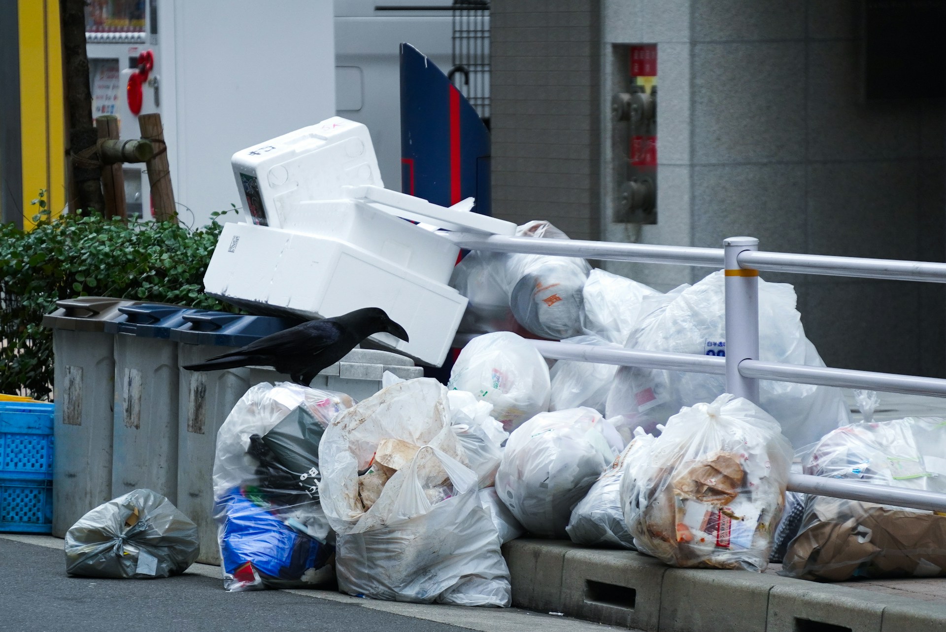 Япония чистая страна, мусор на улицах, спогоми, необычные виды спорта, сбор мусора