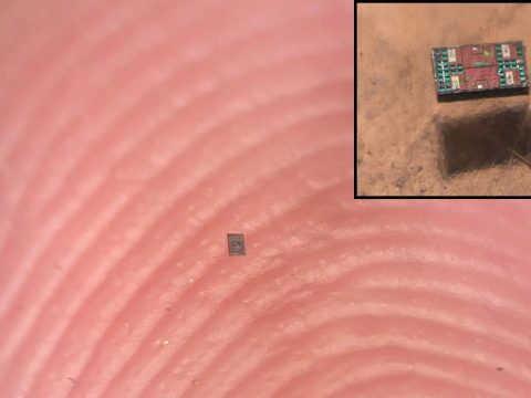 Ученые изобрели умных роботов размером меньше крупинки соли