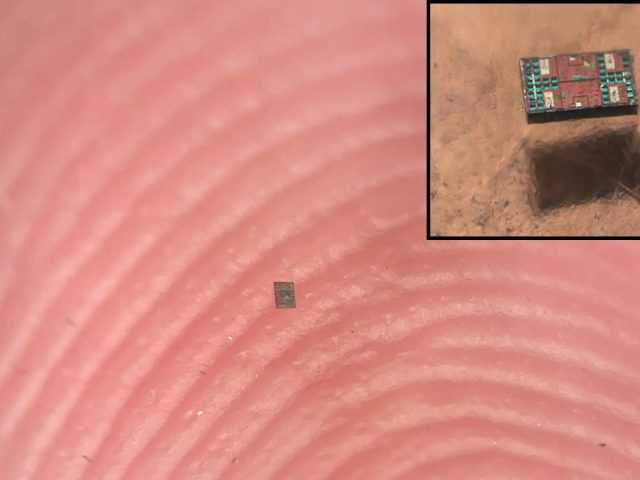 Ученые изобрели умных роботов размером меньше крупинки соли