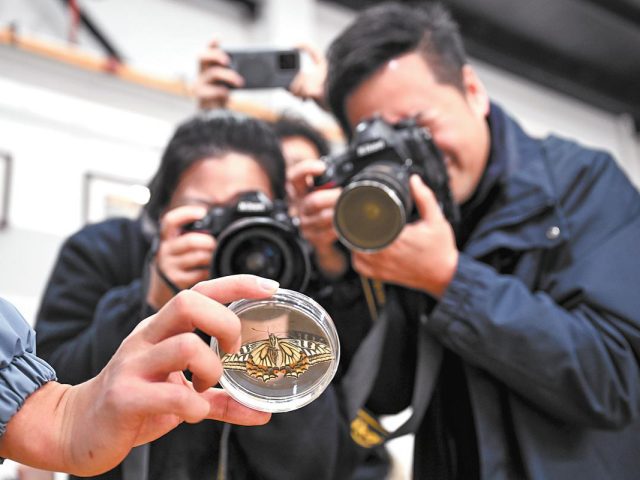 Ученые выяснили, что куколки могут превращаться в бабочек даже в условиях невесомости