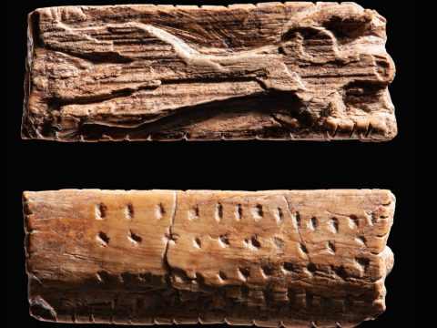 Исследование: древнейшие формы письменности существовали еще в каменном веке