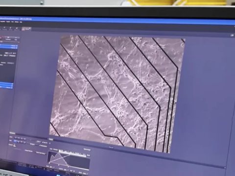 Исследователи показали, как человеческие нейроны на микрочипе проходят видеоигру Doom