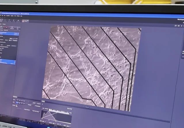 Исследователи показали, как человеческие нейроны на микрочипе проходят видеоигру Doom