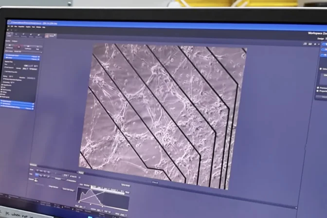 эксперимент с нейронами, игра Doom