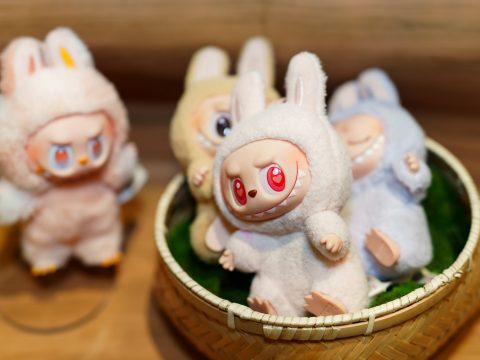 В Липецкой области состоится сожжение гигантского чучела-лабубу