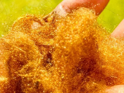 Ученые воссоздали древний морской шелк — ткань, которую носили правители Римской империи