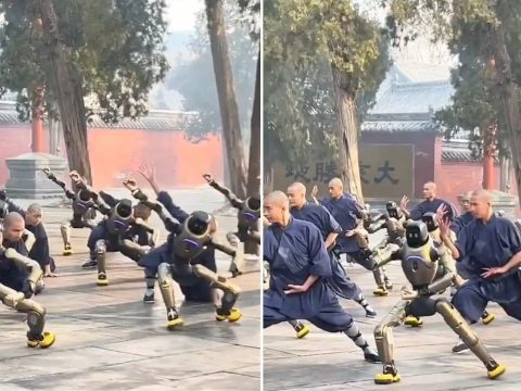 Человекоподобные роботы занялись кунг-фу вместе с шаолиньскими монахами