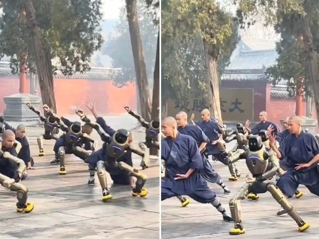 Человекоподобные роботы занялись кунг-фу вместе с шаолиньскими монахами