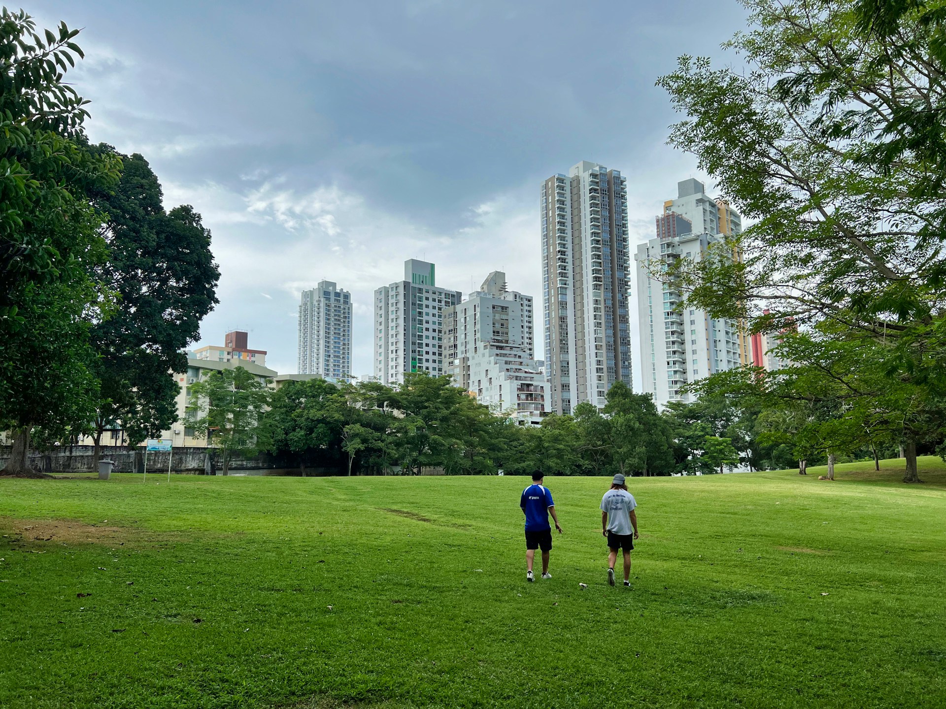 озеленение городов, неравенство, урбанистика
