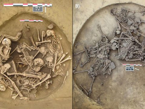 Исследование: люди эпохи неолита проводили кровавые ритуалы для устрашения врагов