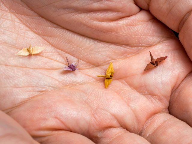 Исследование: мы воспринимаем мир благодаря более чем 20 органам чувств